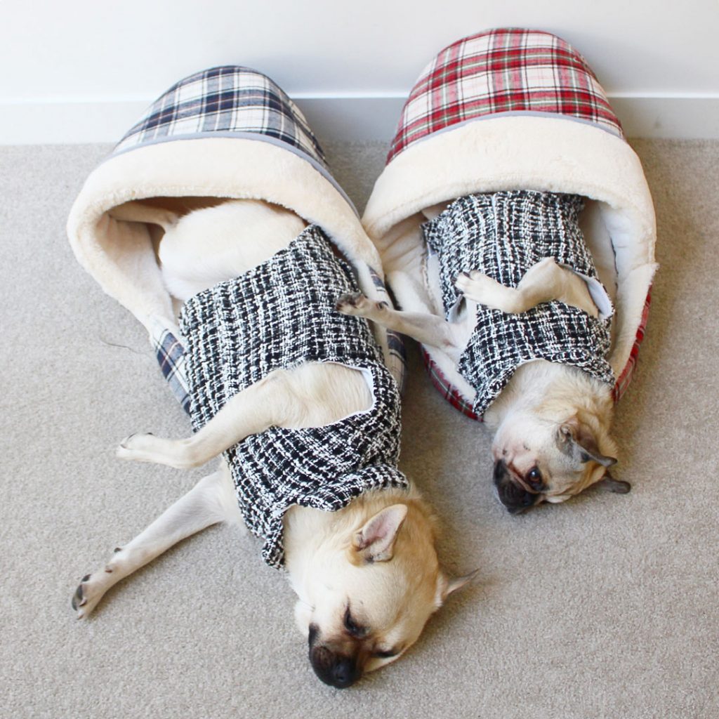dog jackets reject shop