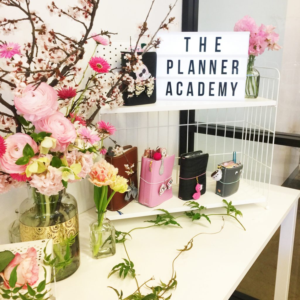 DIY Spooky Spider Lights The Reject Shop