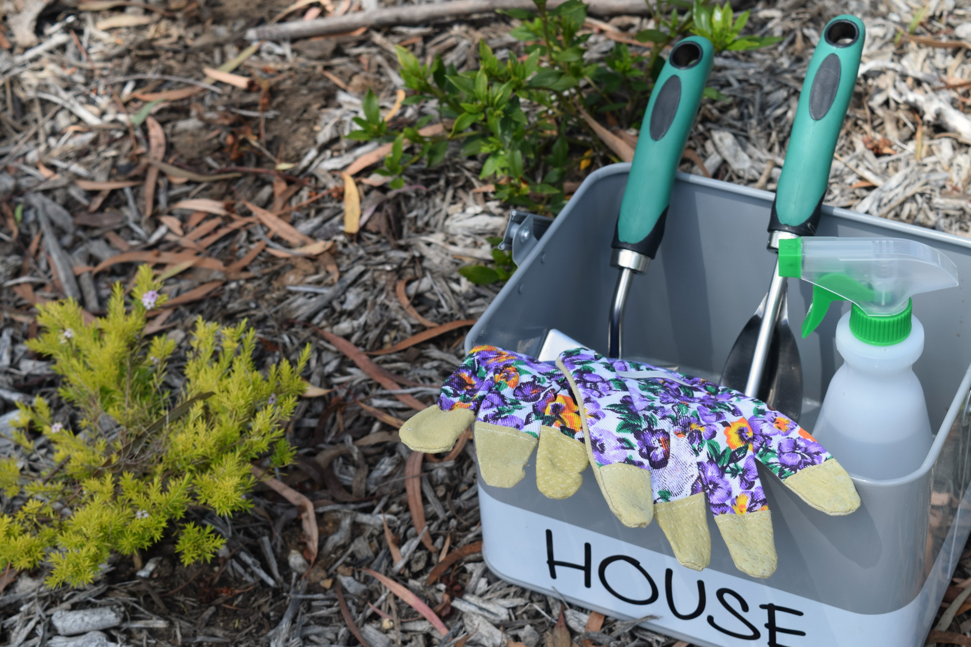 Kitchen Pantry Makeover The Reject Shop