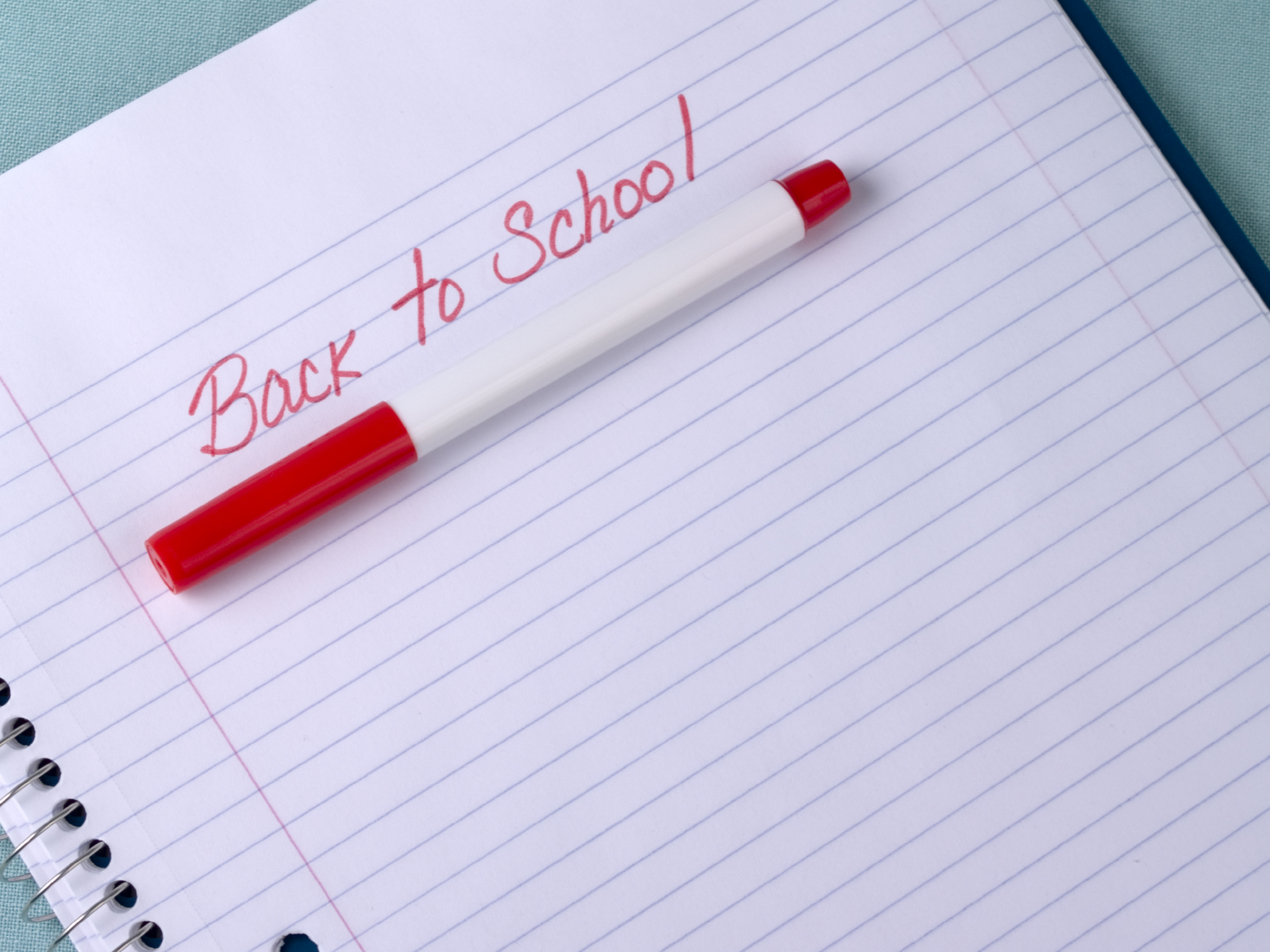 Pack the perfect summer picnic The Reject Shop