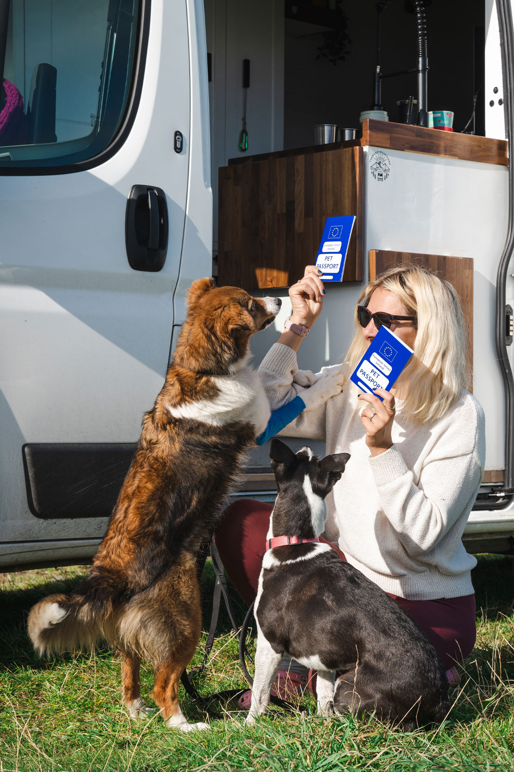 Getting EU Pet Passports Post Brexit The Road Two Spoons   2e4d768d 972d 475d Aa45 9597ea5a0f82 Dog EU Passports 