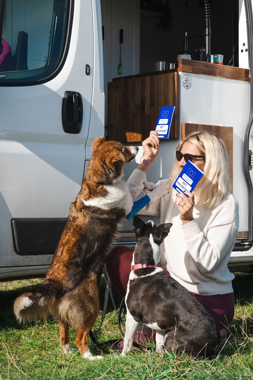 EU Pet Passport in Ireland