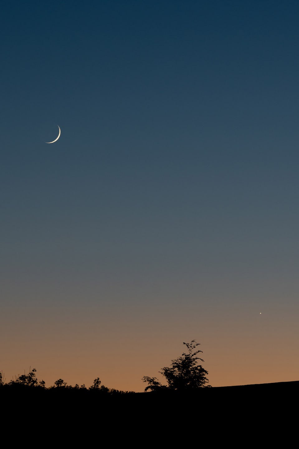 Sundown at Steadway Farm CL