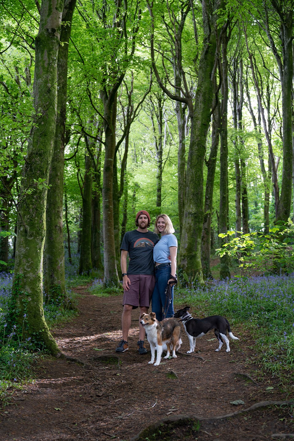 Wisemans Bridge Woods Saundersfoot