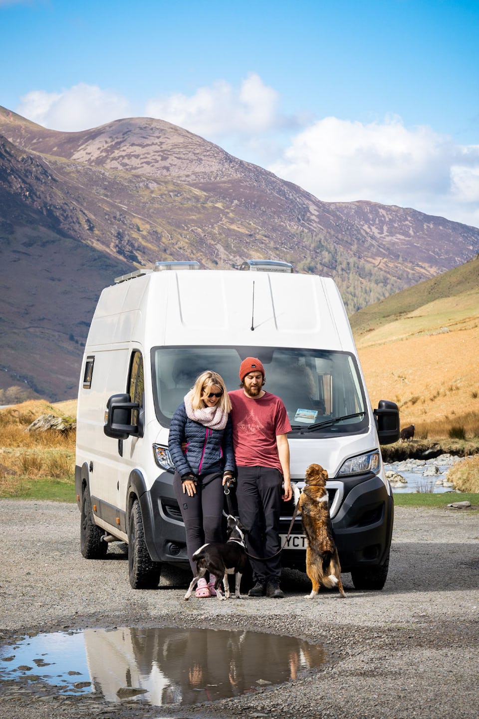 Vanlife with dogs