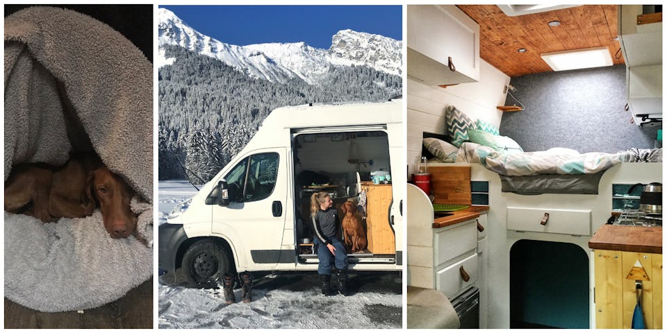 Winter vanlife with a dog