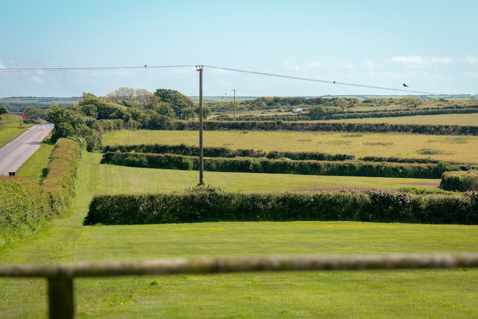 Woody Kiln Farm CL Dog Walking Fields