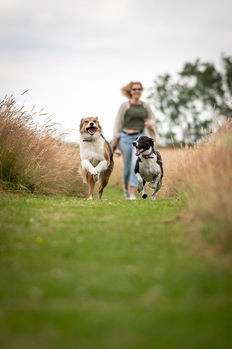 Resthaven Farm CL - Dog Friendly