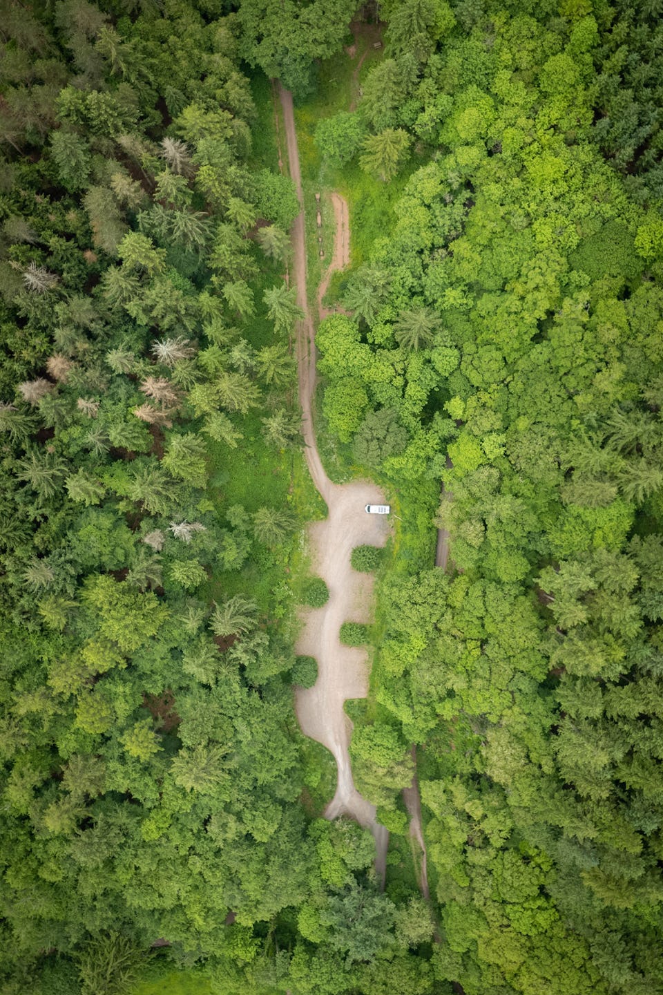 Nutcombe Bottom Tall Trees Trail Exmoor