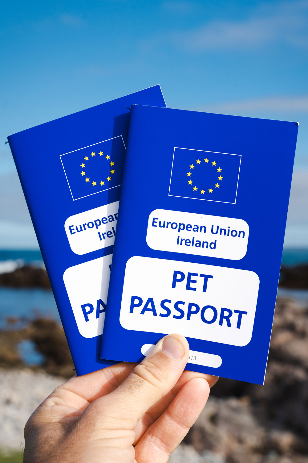 Getting EU Pet Passports Post Brexit The Road Two Spoons   Bc11eb23 F13f 4897 B1cb C71cc58a07a9 Ireland Pet Passport 