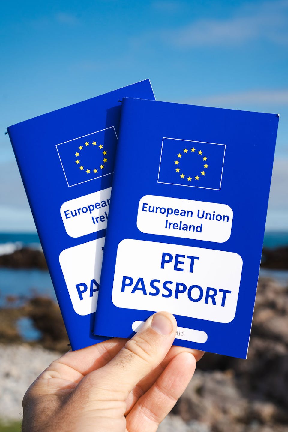 Pet Passport in EU