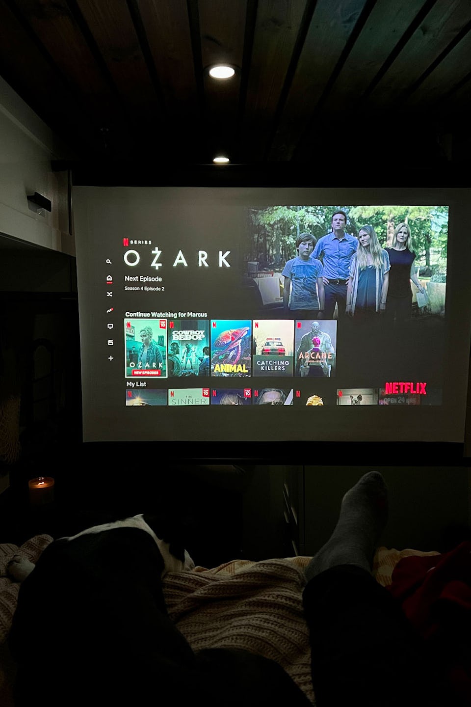 Projector for van conversion