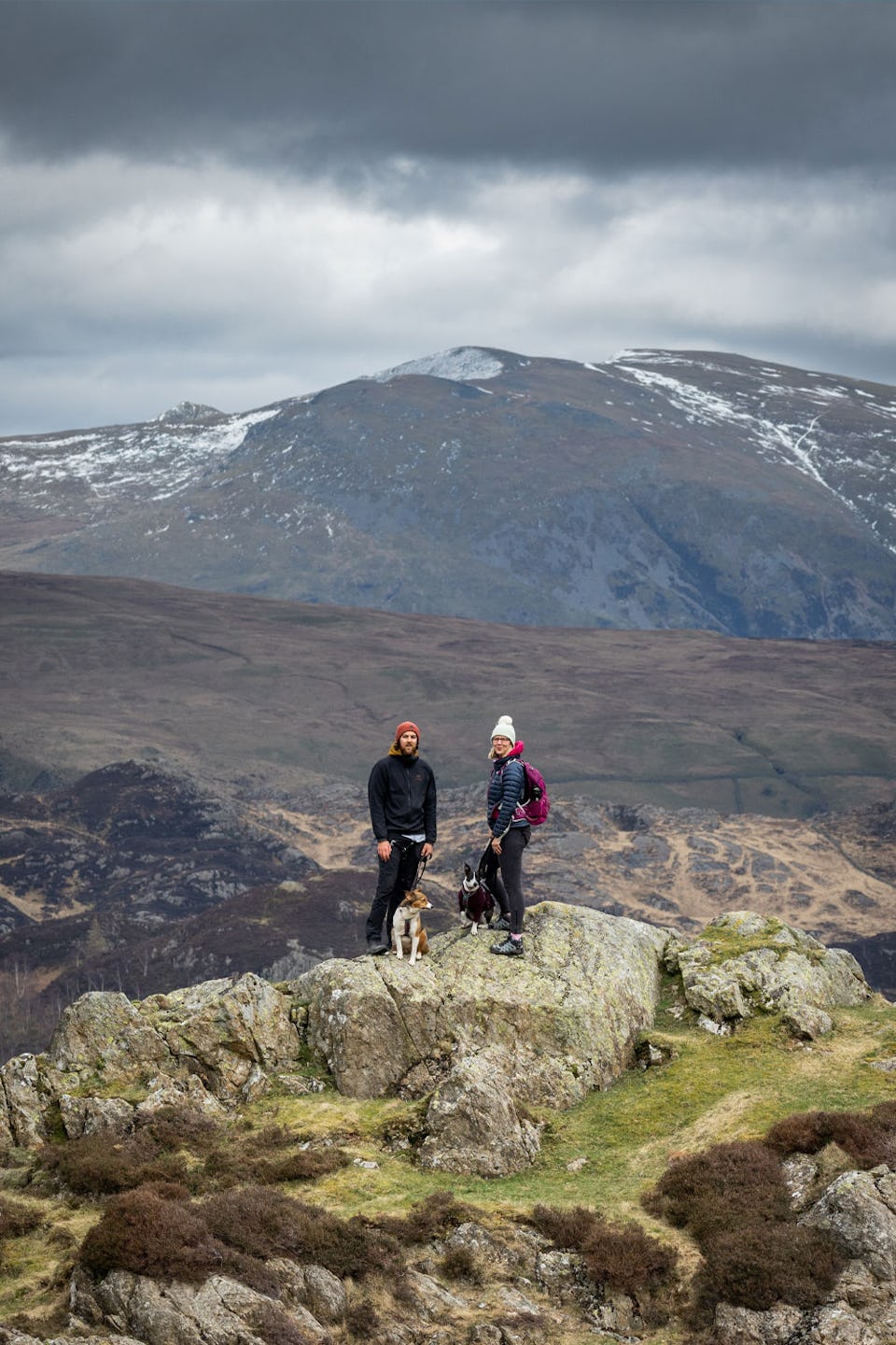 Hiking with Dogs in the Lake District