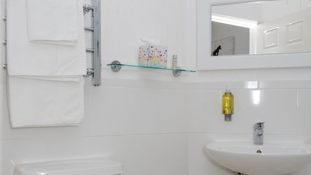 Budget room ensuite at Royal Norfolk Hotel