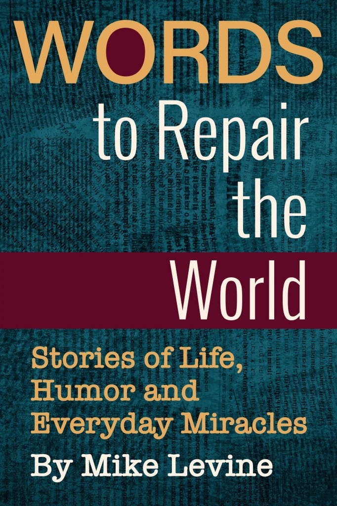 Words to Repair the World Book Cover