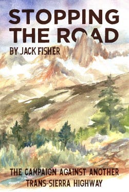 Stopping the Road Book Cover