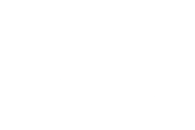 SockShop WildFeet logo