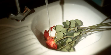 Flowers in a sink