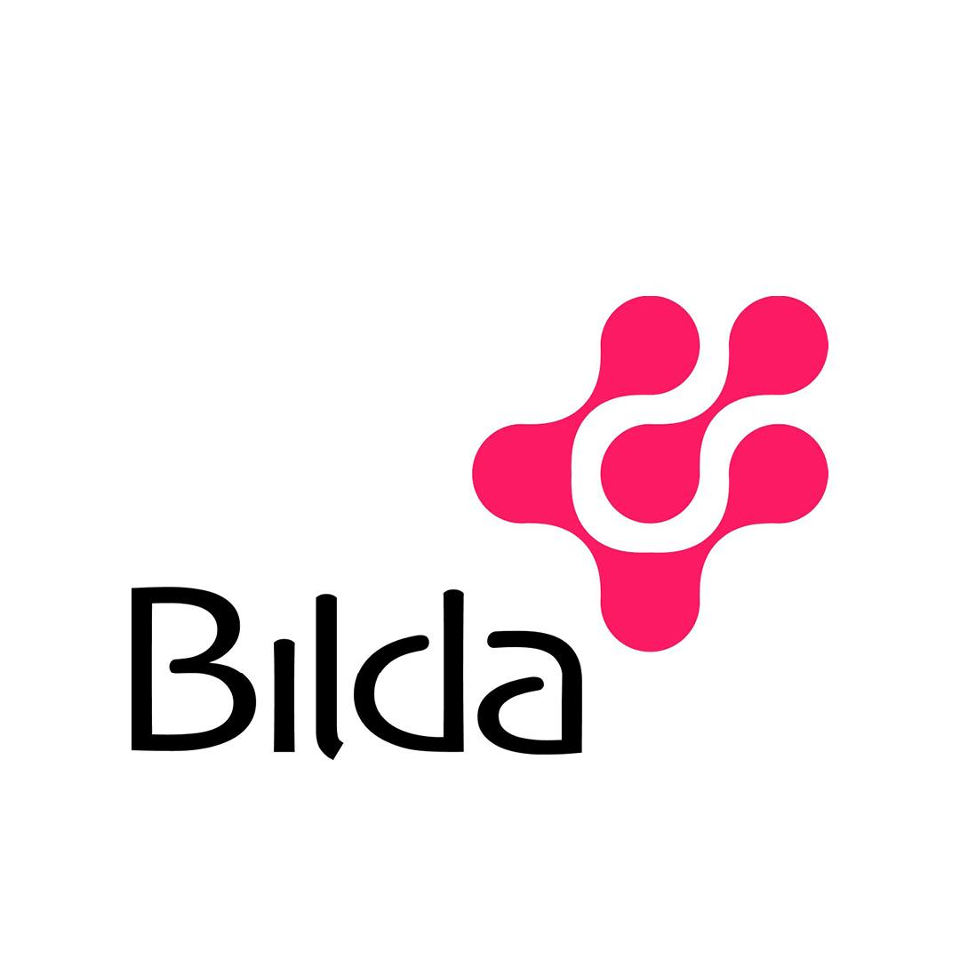 BILDA