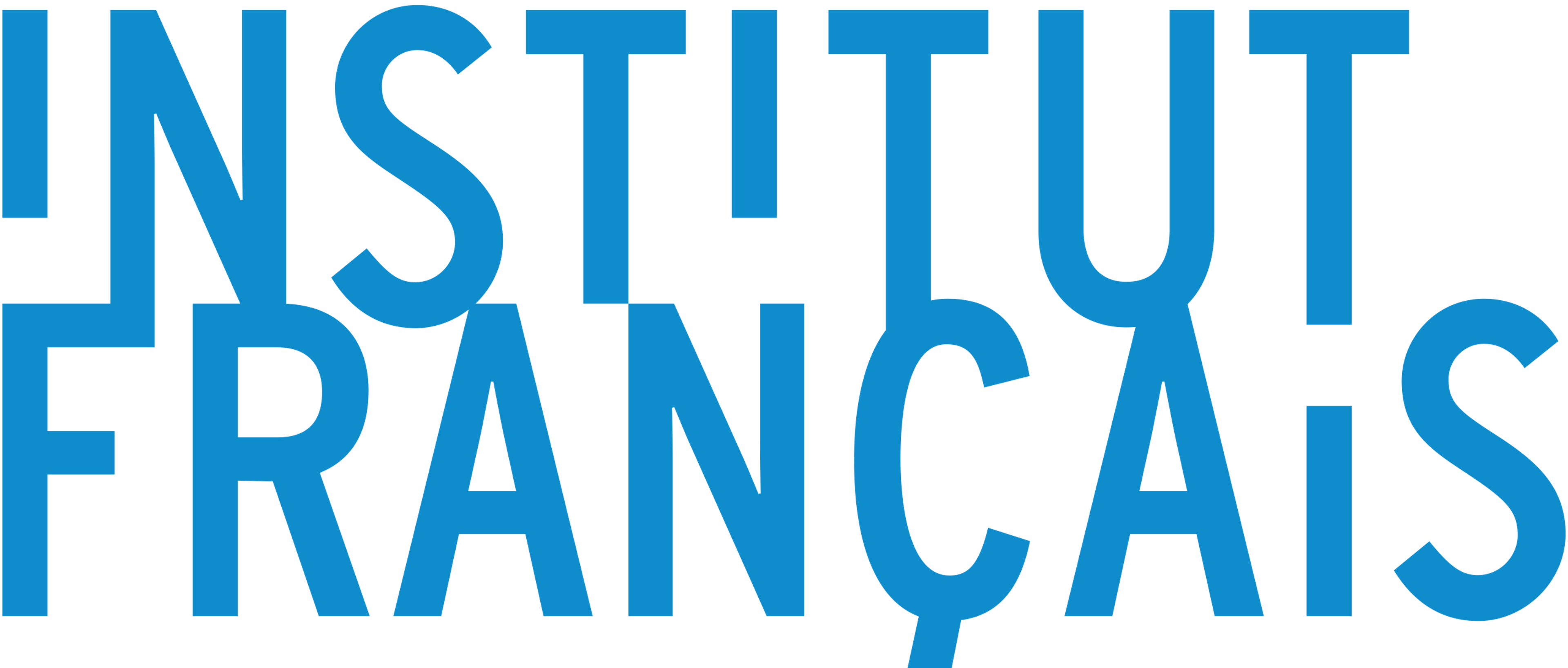 Institut