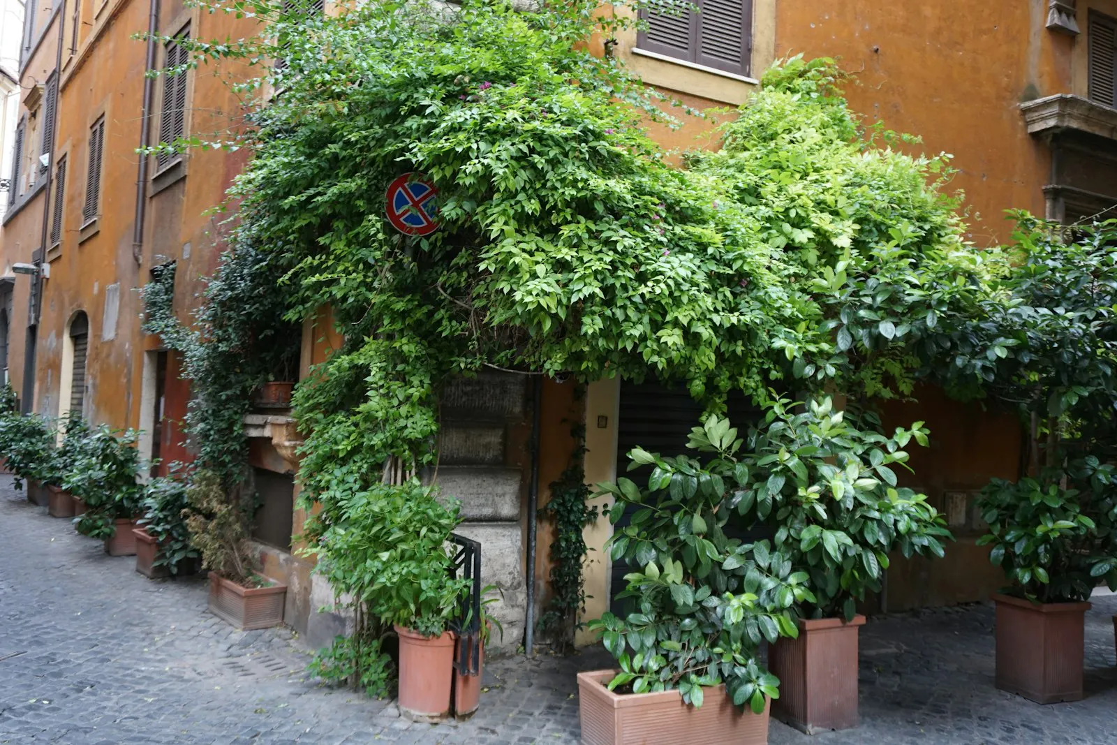 The elegant garden setting at Stravinskij Bar