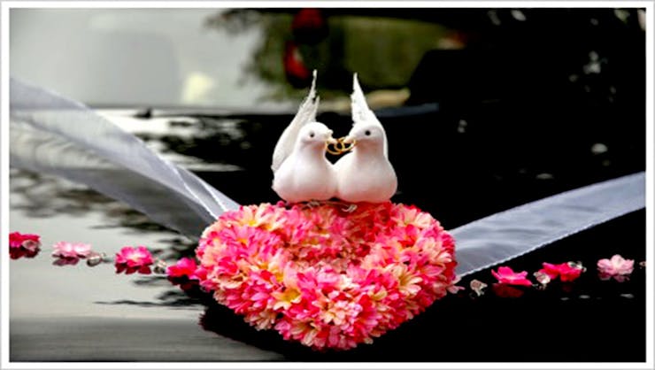 adorable wedding car decoration ideas