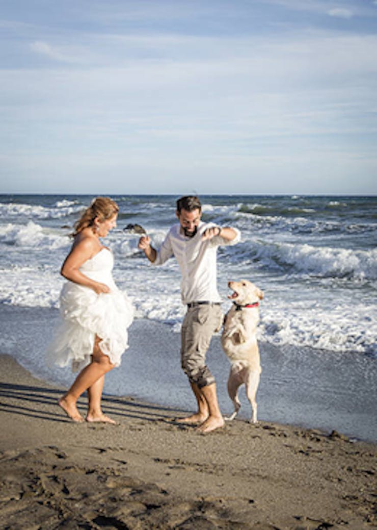 Pre-wedding involving pets