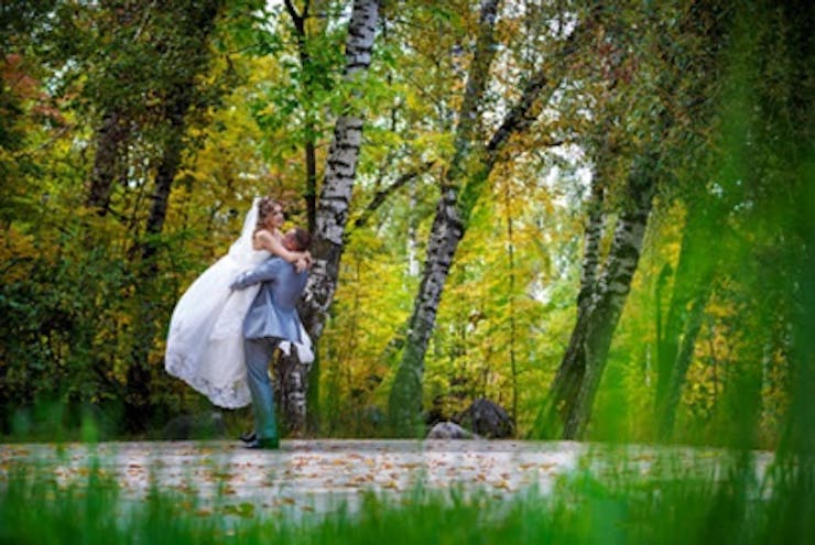 Organize a picnic on a lawn or forest clearing