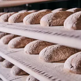 Irrglaube oder doch die Wahrheit? Mythen rund um’s Brot aufgedeckt.