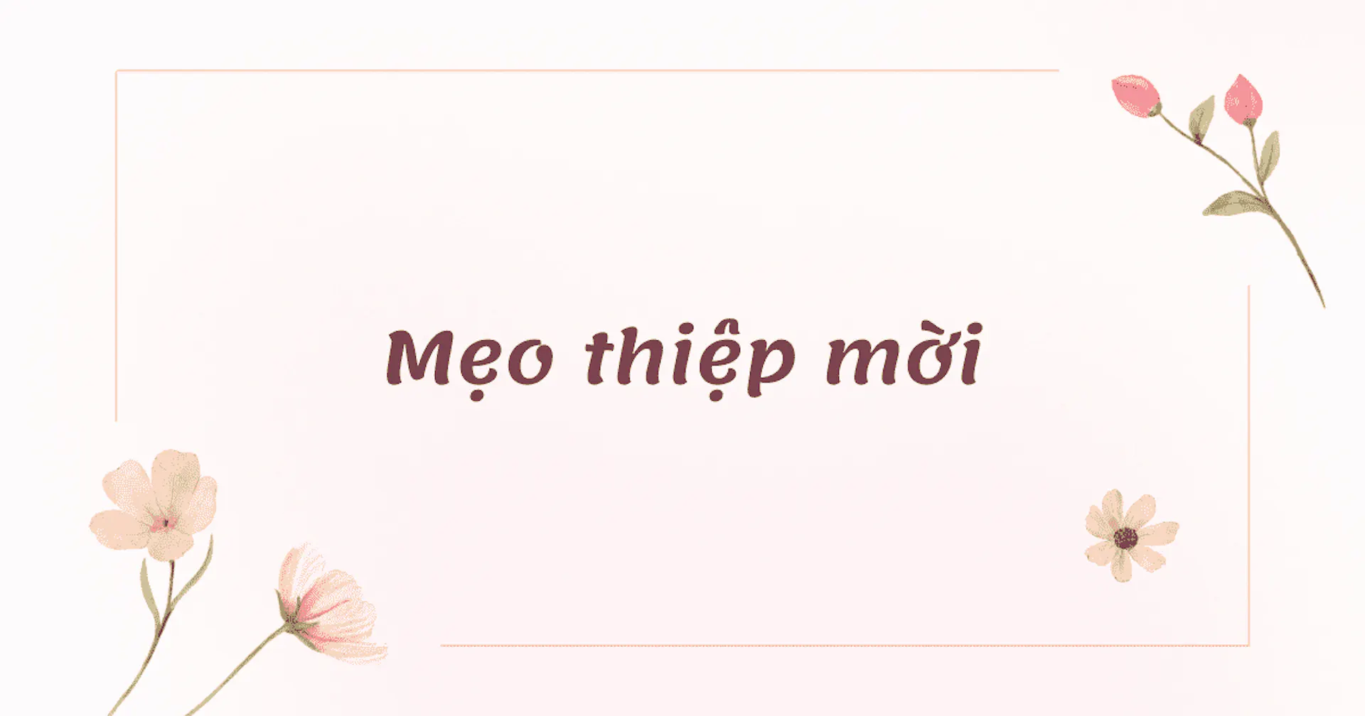 meo-thiep-moi