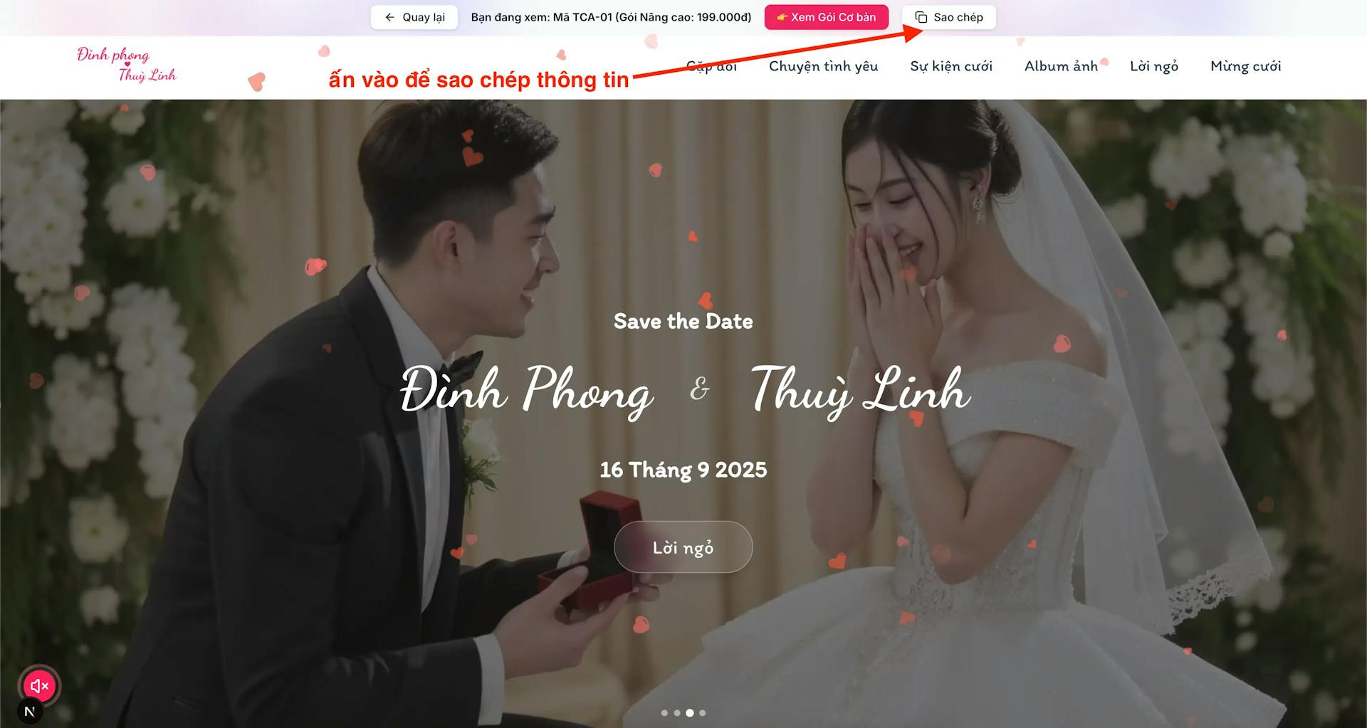 thanh-toan-b2