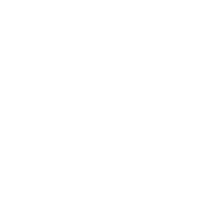 
 Zero 
Motorcycles 