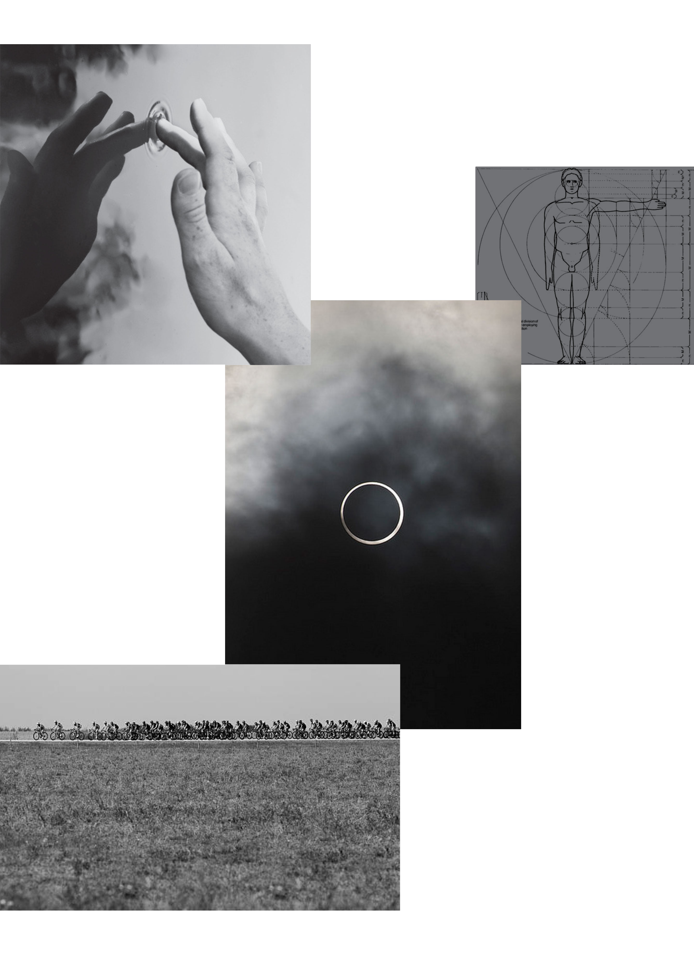 Specialized - This Design - Portland OR