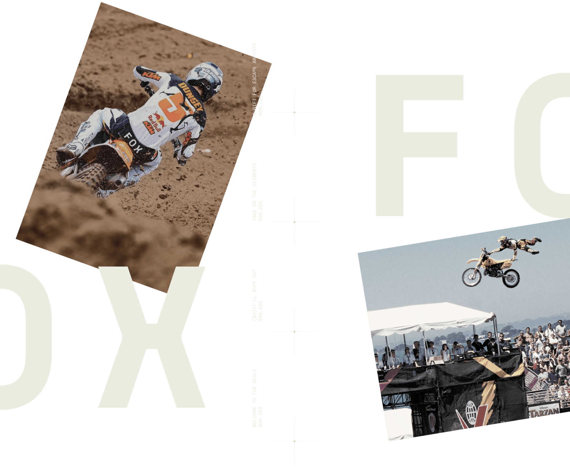 Fox - This Design - Portland OR