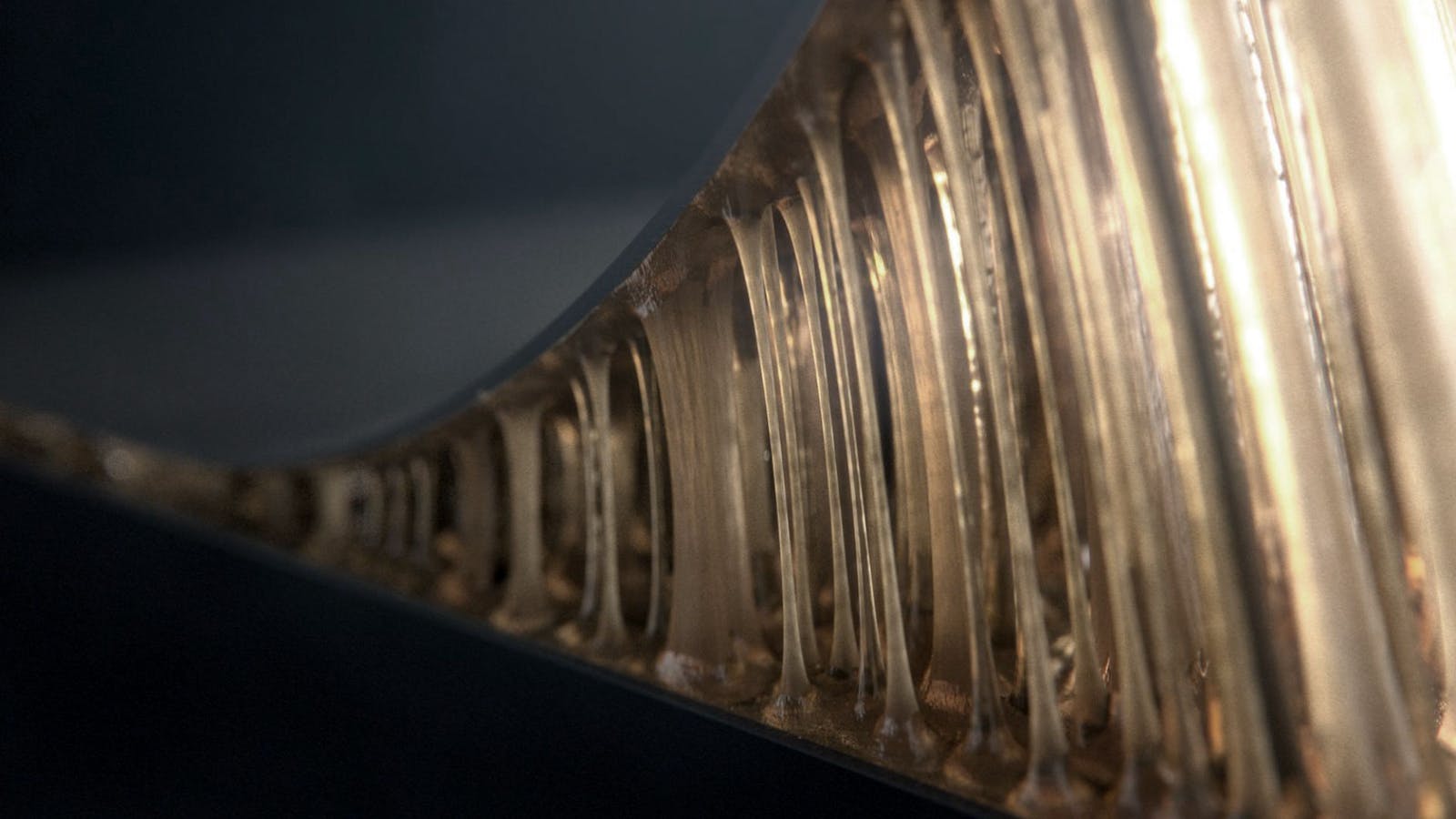 Cohaesive - This Design - Portland OR