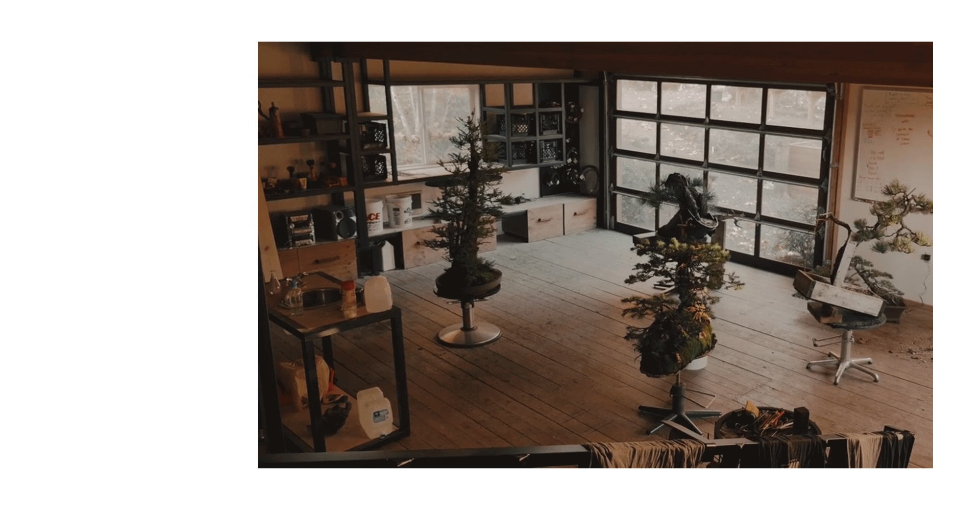 Bonsai Mirai This Design