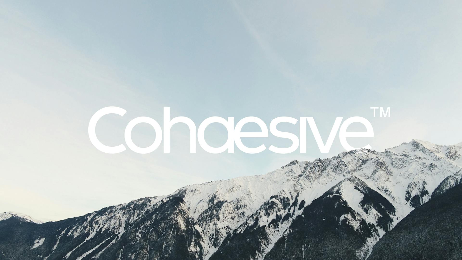 Cohaesive - This Design - Portland OR