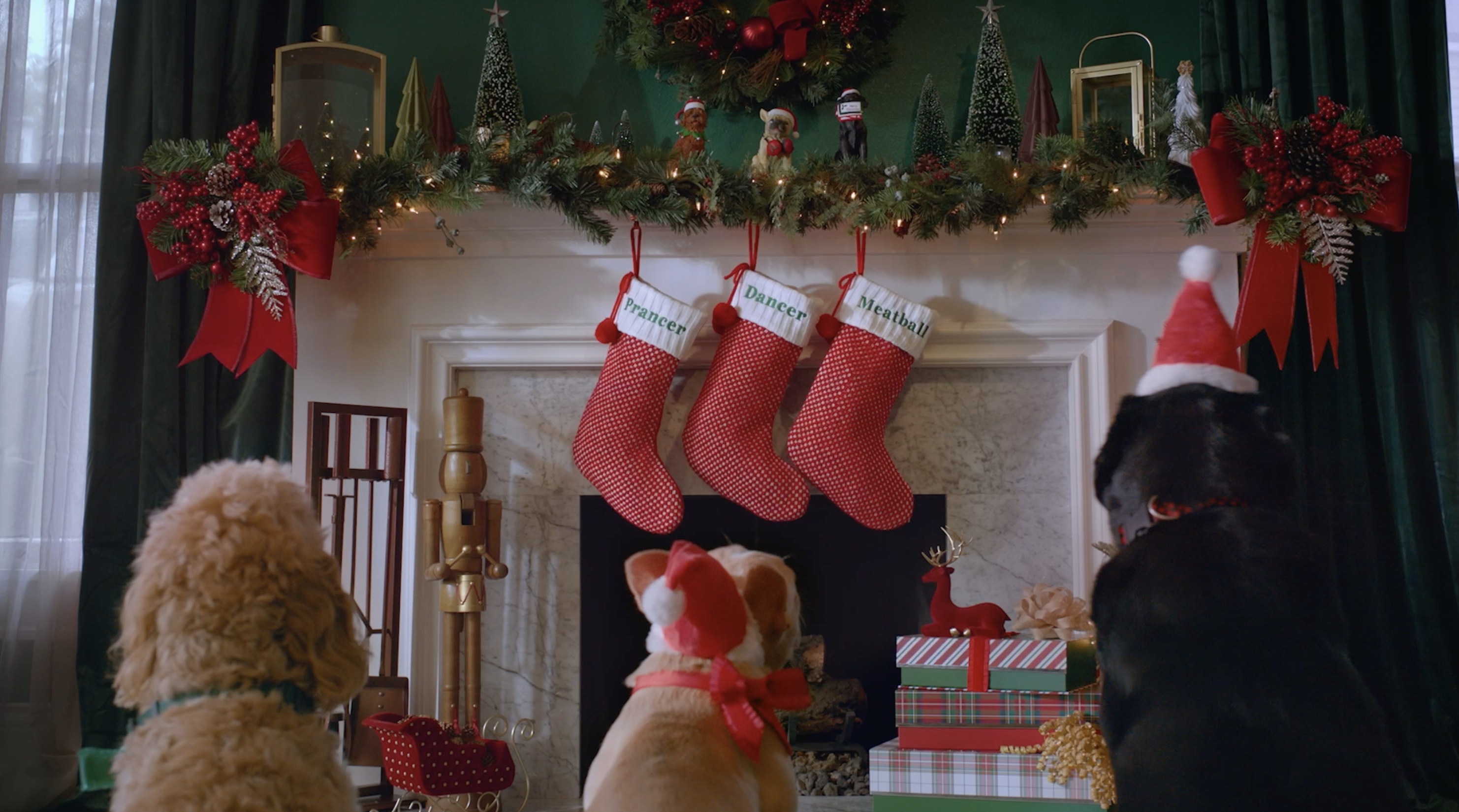 Three dogs looking up at a holiday mantel