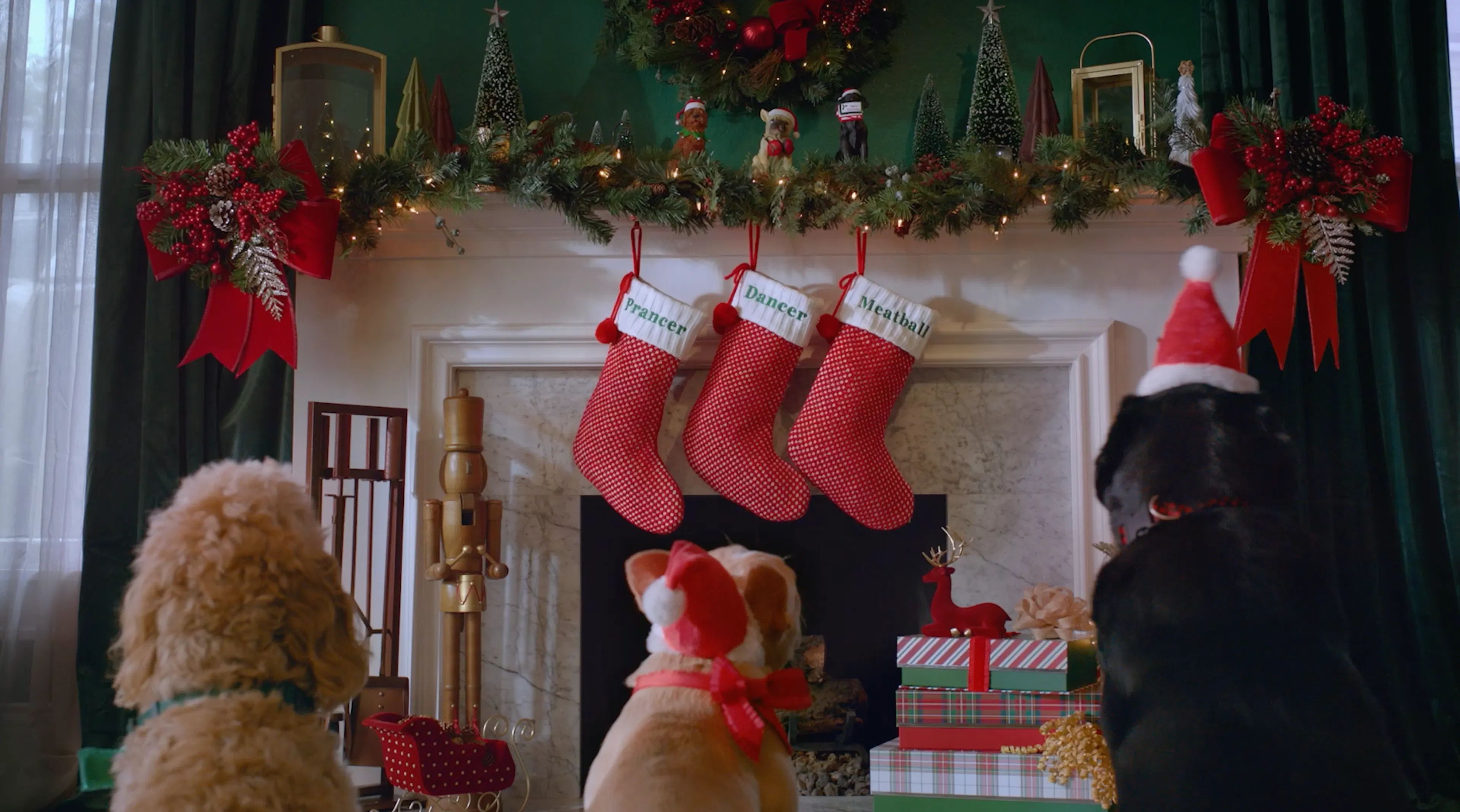 Three dogs looking up at a holiday mantel
