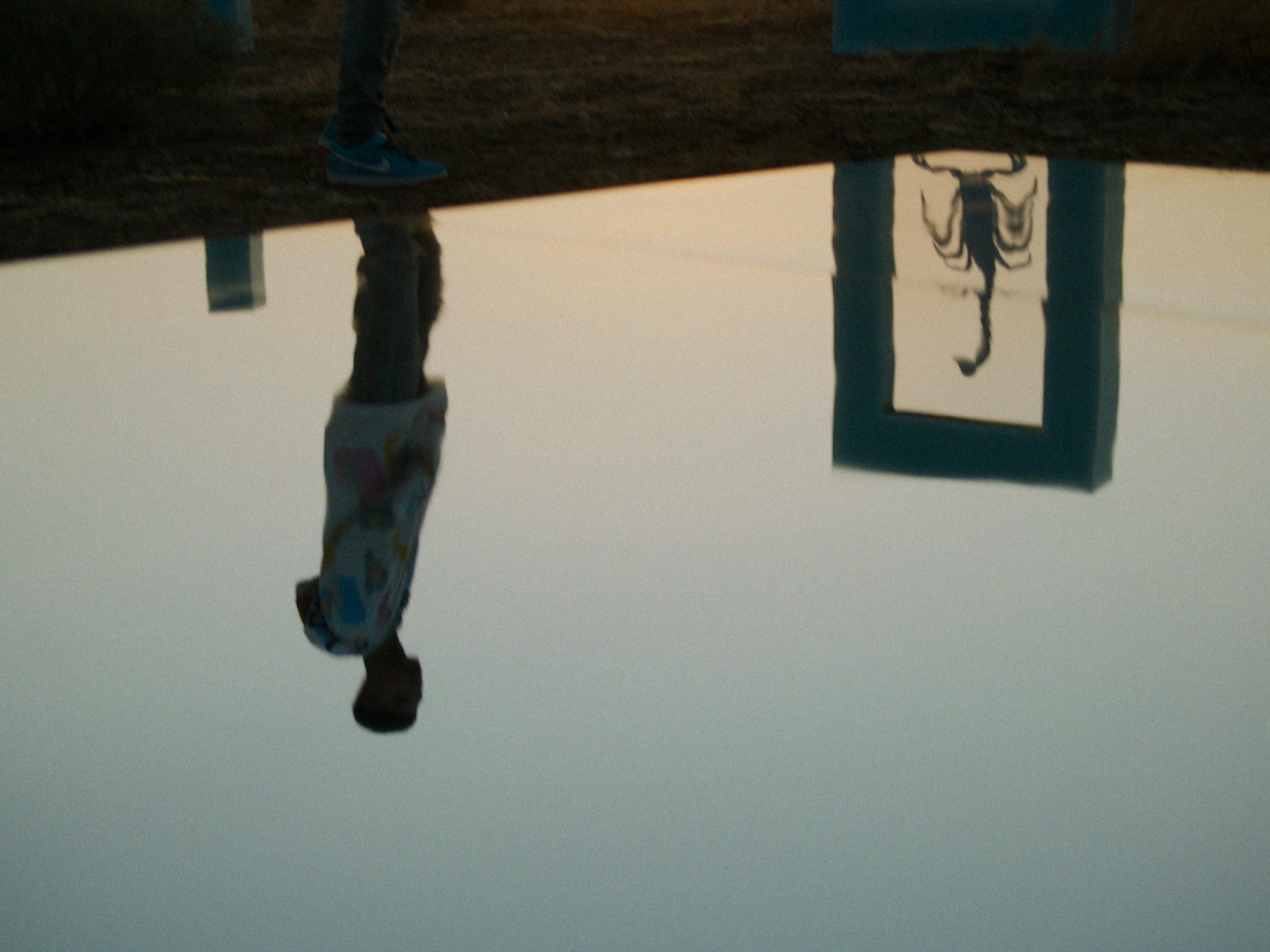 An upside-down reflection of a person next to a large framed rectangular structure with a scorpion inside
