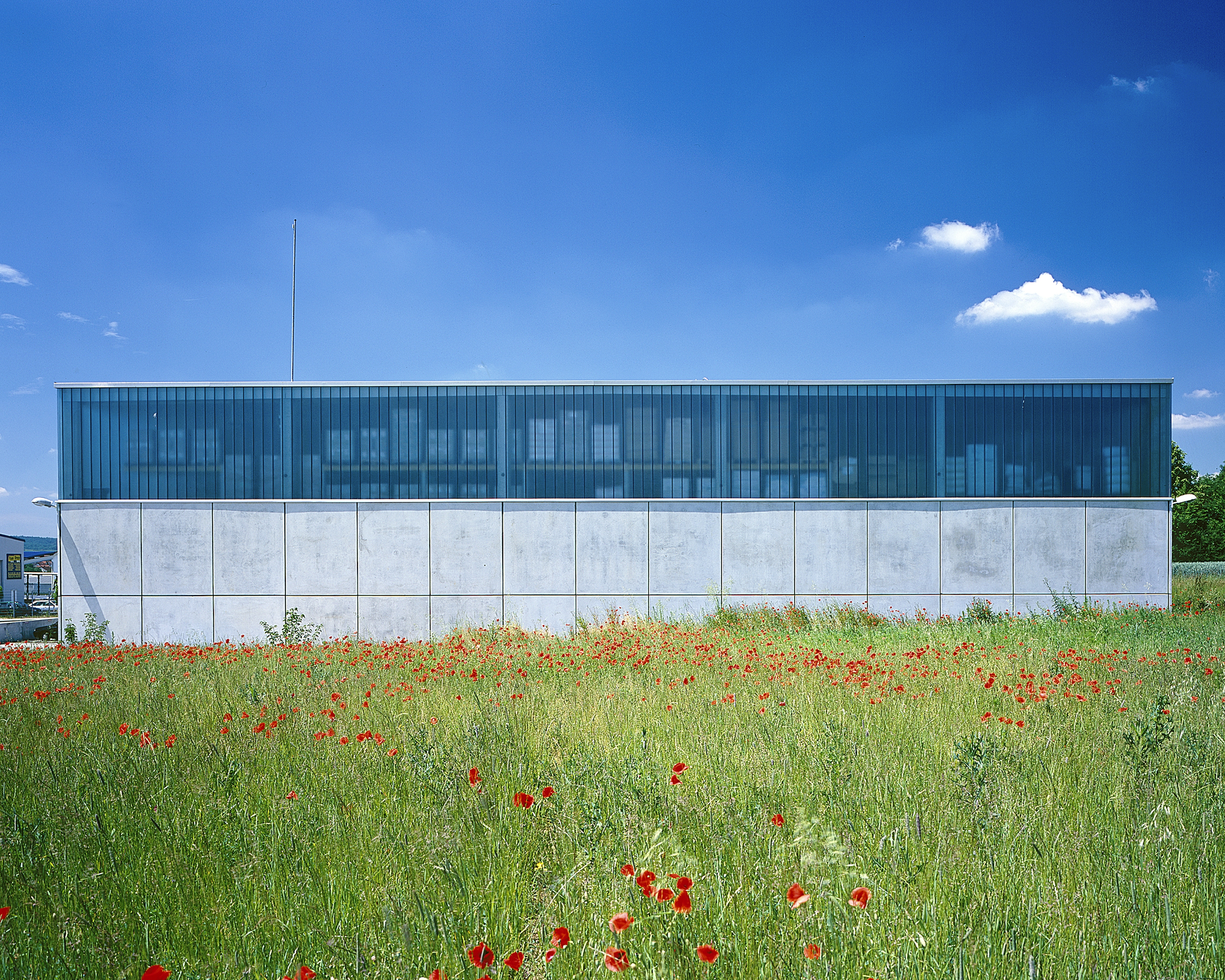 Seitenansicht der Lagerhalle mit transluzenter Fassade im oberen Bereich und massiven Beton-Fertigteilen im unteren Bereich, davor eine Blumenwiese mit Mohn.