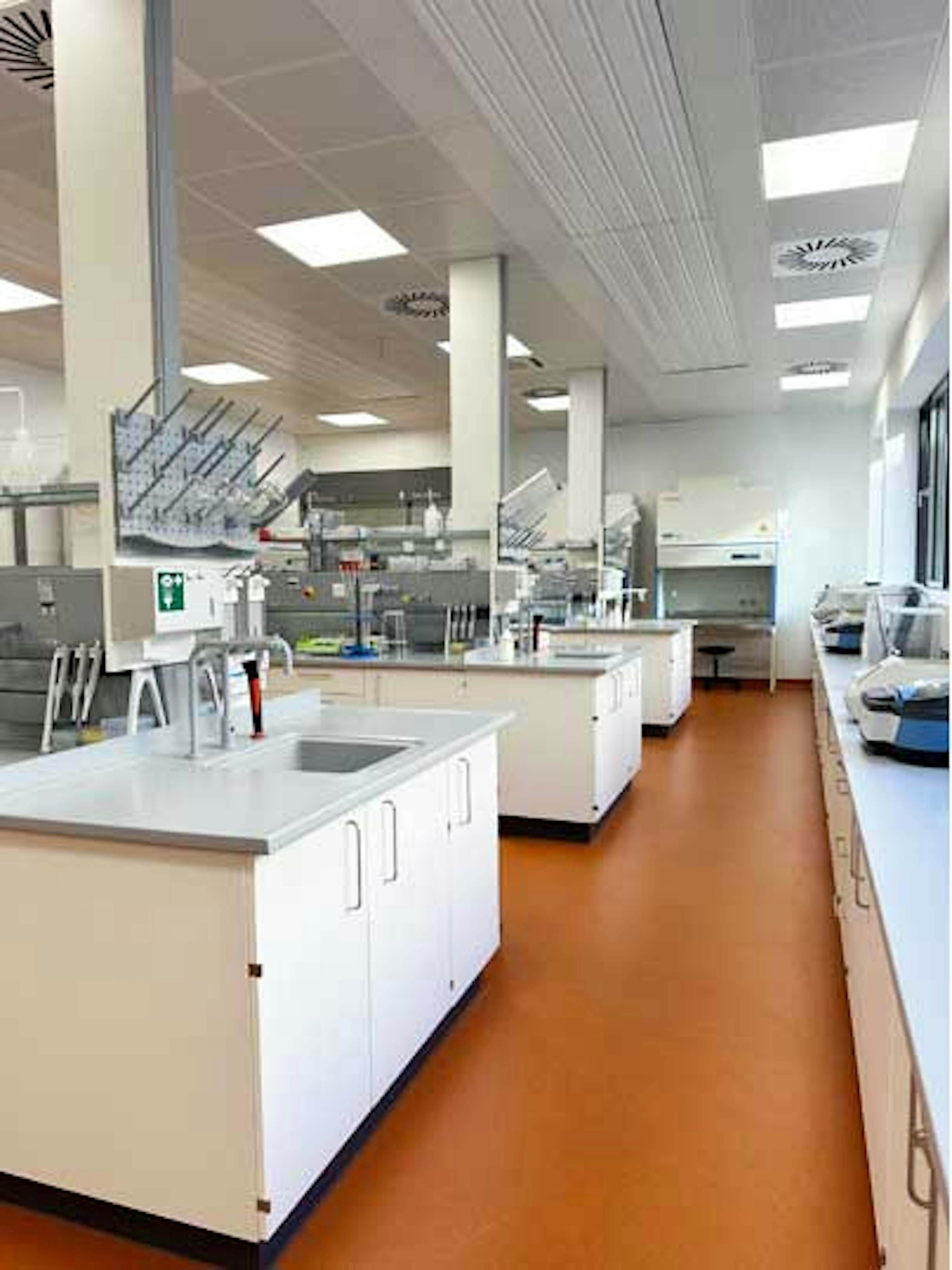 Nahaufnahme eines Labortisches mit Waschbecken, Pipettenstation und moderner Laborausstattung im Sprachlabor S1.