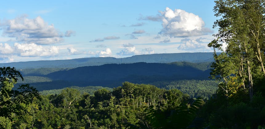 The view from the top of a mountain over a green forest.