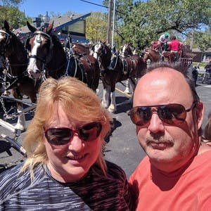 Selfie of Dave and Kathy Boland, both wearing sunglasses, standing in front of a line of clydesdale horses.