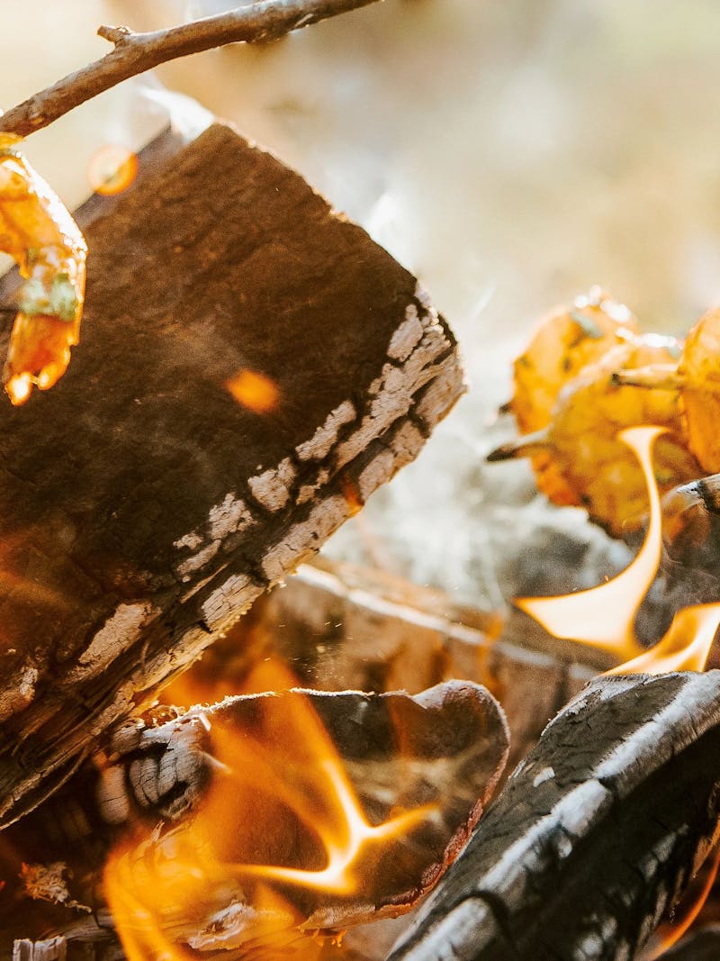 Shrimp cooking on stick in a fire