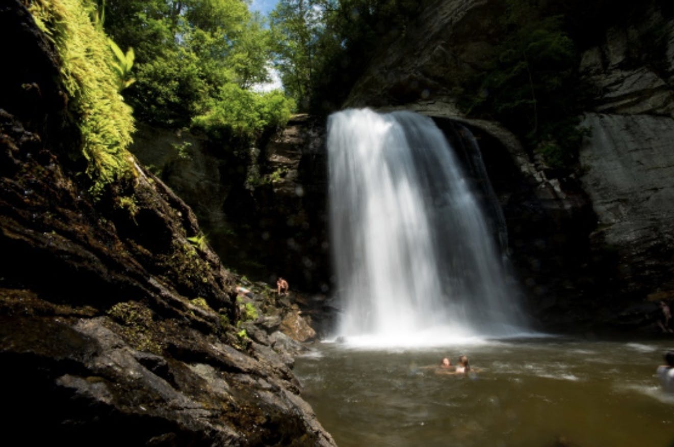 A flowing waterfall in Pisgah National Forest (National Forest Foundation)