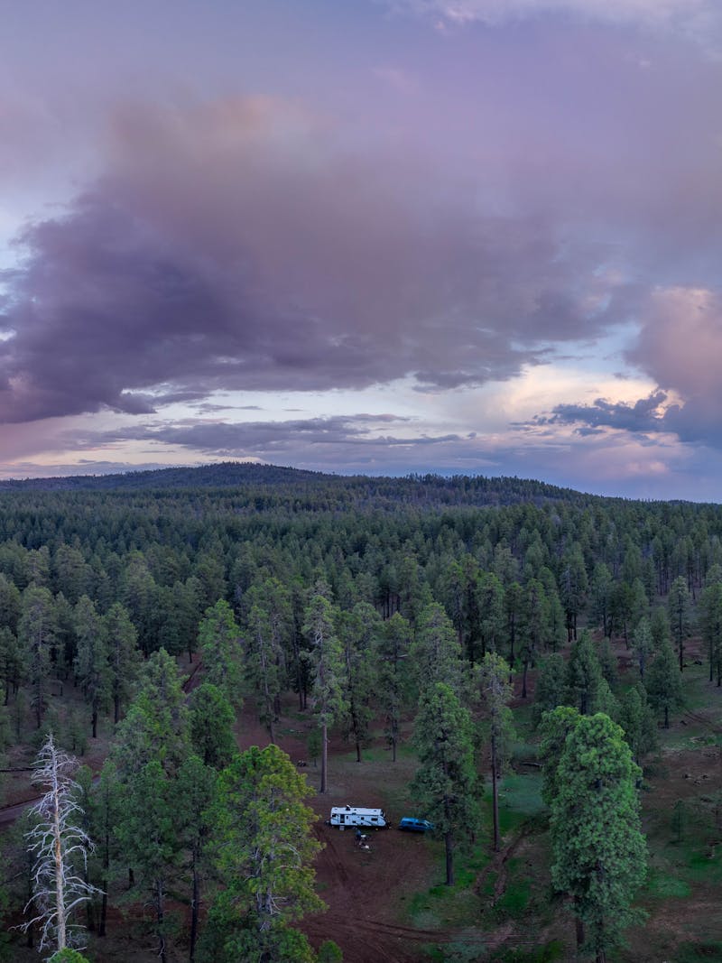 A panoramic view of sunset over Kaibab National Forest by Jeff Poe