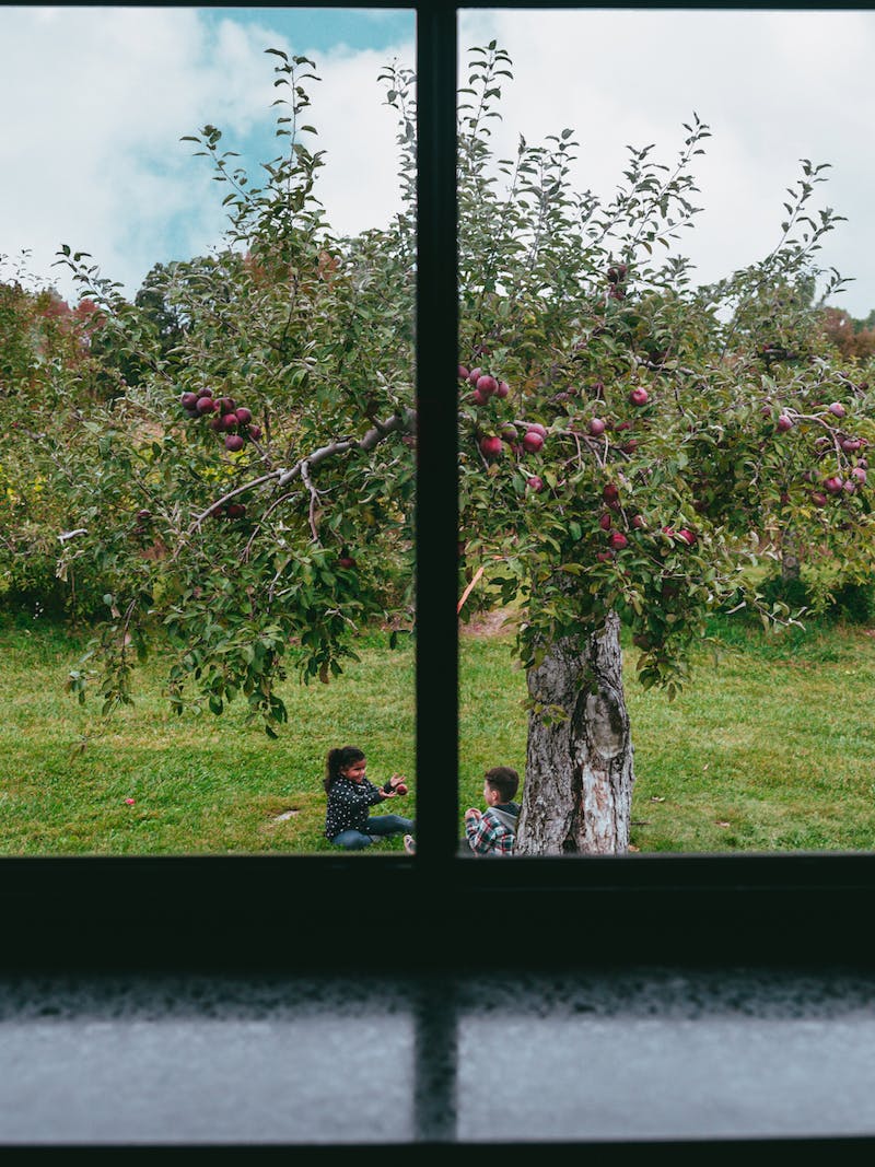 The Class children playing outside under an apple tree.