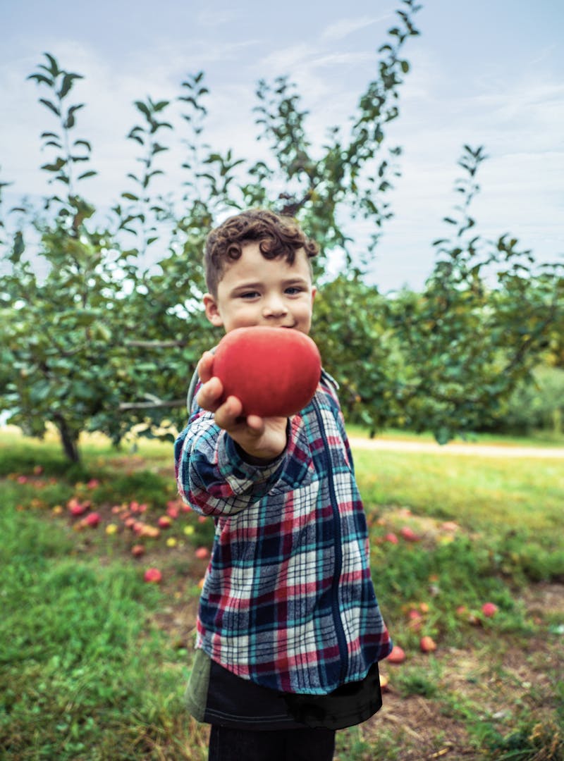 Julian standing in an apple orchard, holding up an apple to the camera.