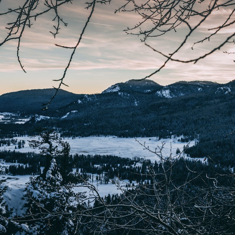 Looking through tree branches at snowy valley and dark tree-covered mountains